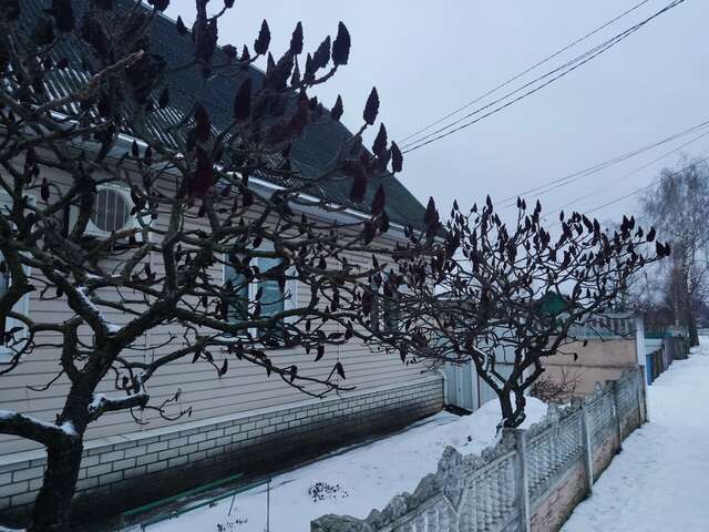 Гостиница Милославский Брянск-79