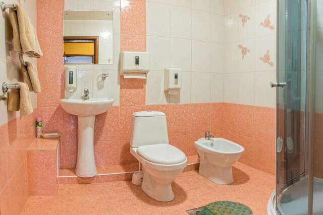 Гостиница Милославский Брянск-66